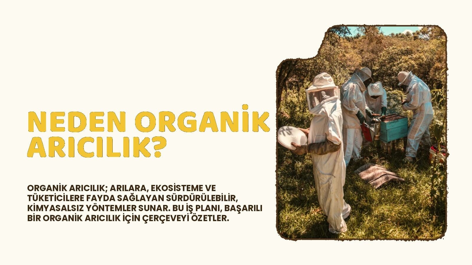 organik