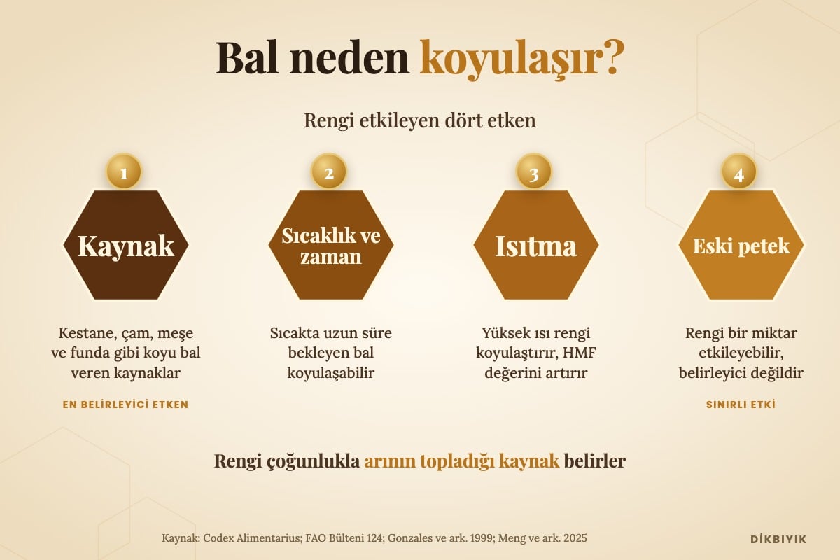 Siyah balın dört etkeni: nektar ya da salgı kaynağı, sıcakta bekleme, ısıtma ve eski petek