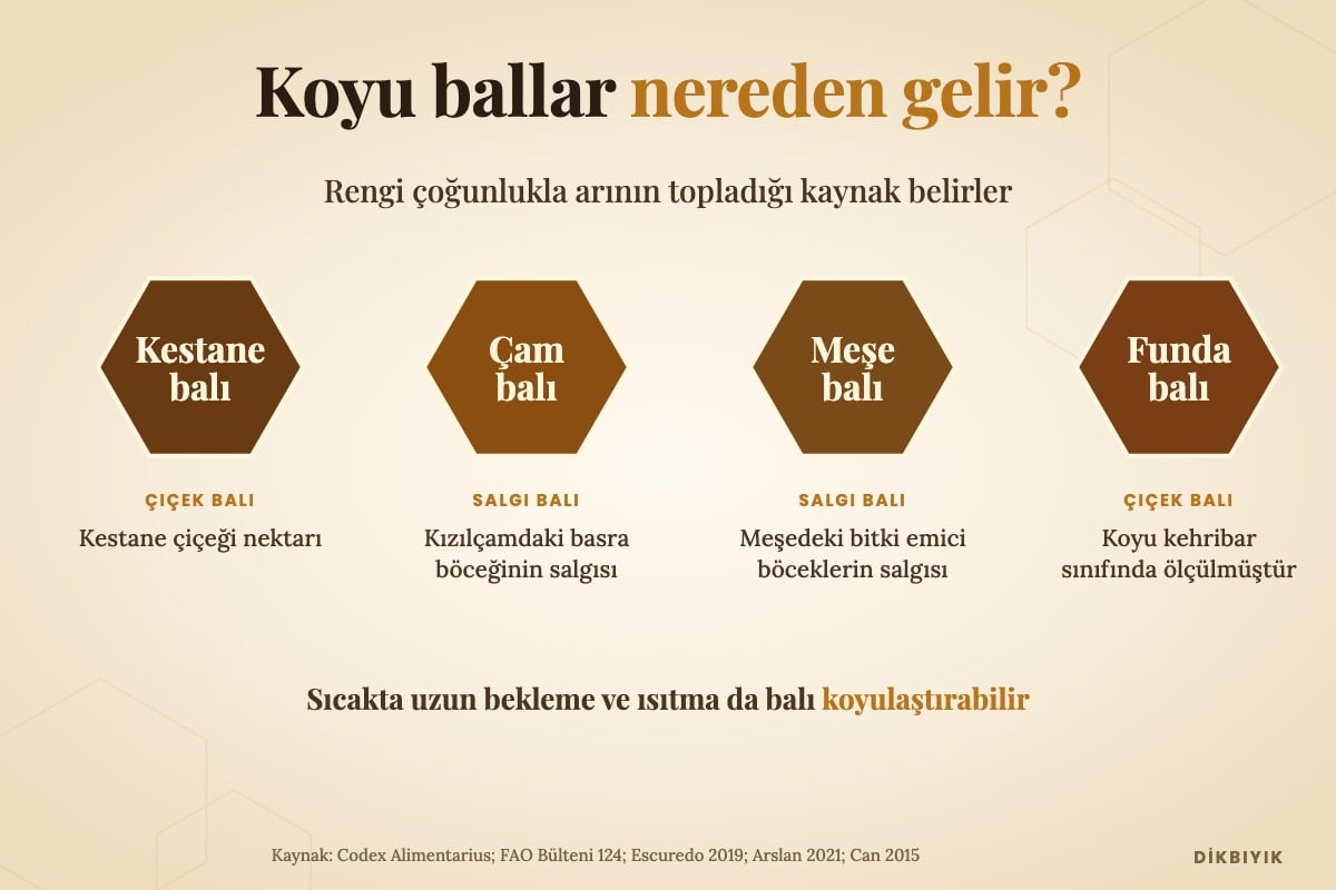 Siyah bal kaynakları: kestane ve funda çiçek balı, çam ve meşe salgı balı