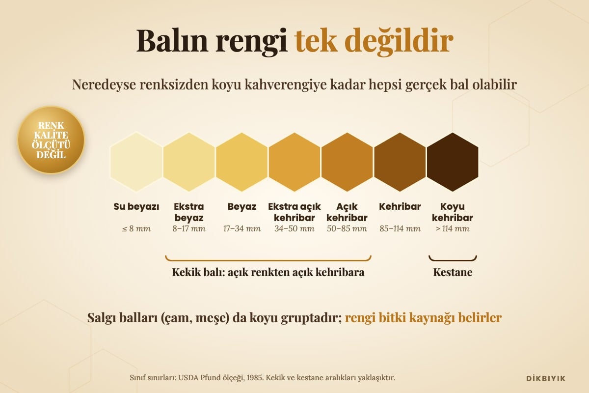 Pfund bal renk skalası, su beyazından siyaha yakın koyu kehribara; kekik balı açık sınıflarda, kestane balı en koyu sınıfta