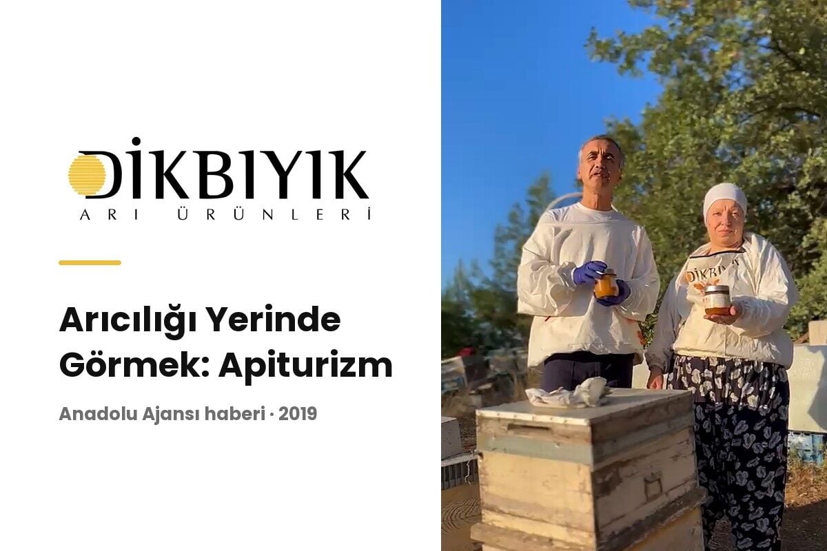 Apiturizm Nedir? Dikbıyık Arı Çiftliği ve AA Haberi