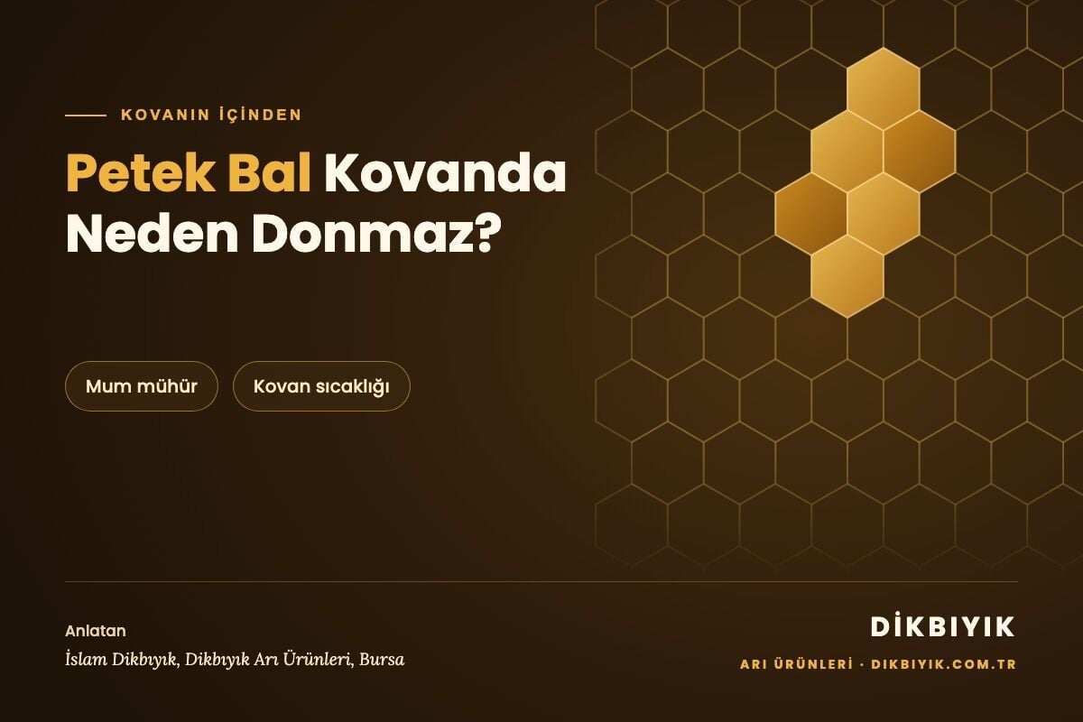 Petek Bal Kovanda Neden Donmaz?