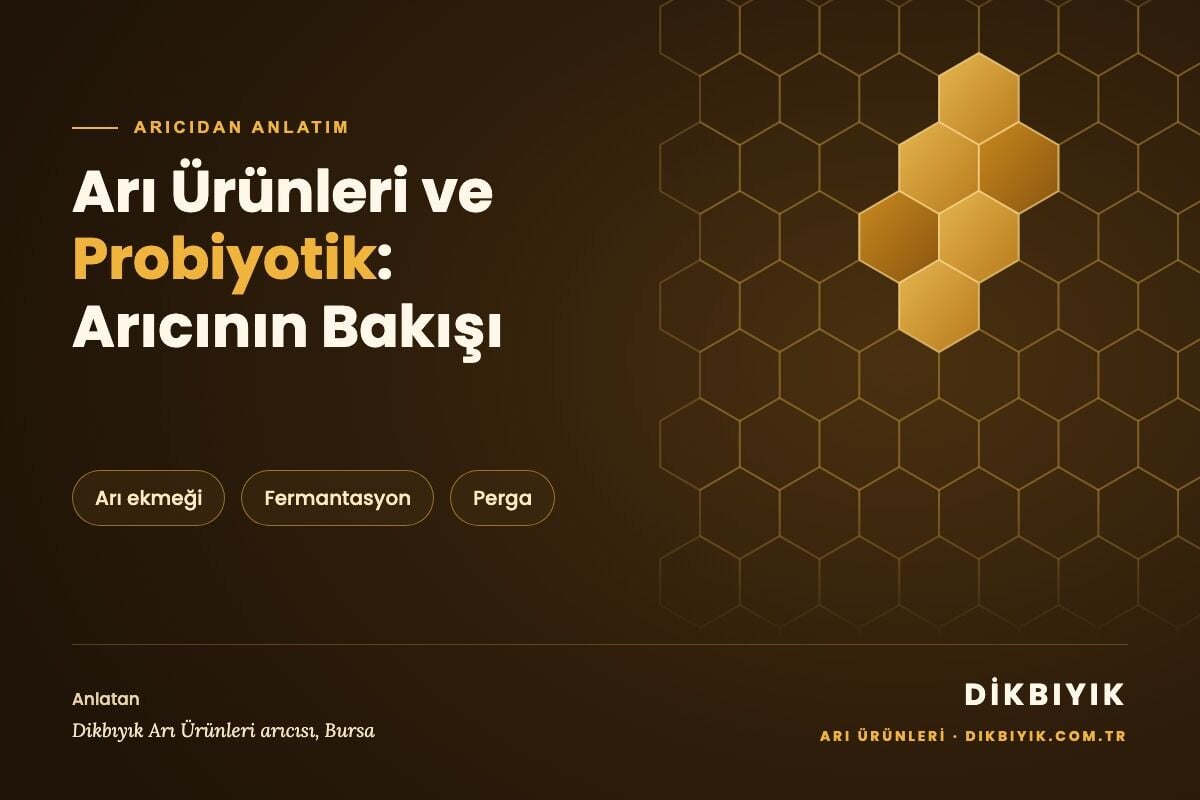 Arı Ürünleri ve Probiyotik: Arıcının Bakışı