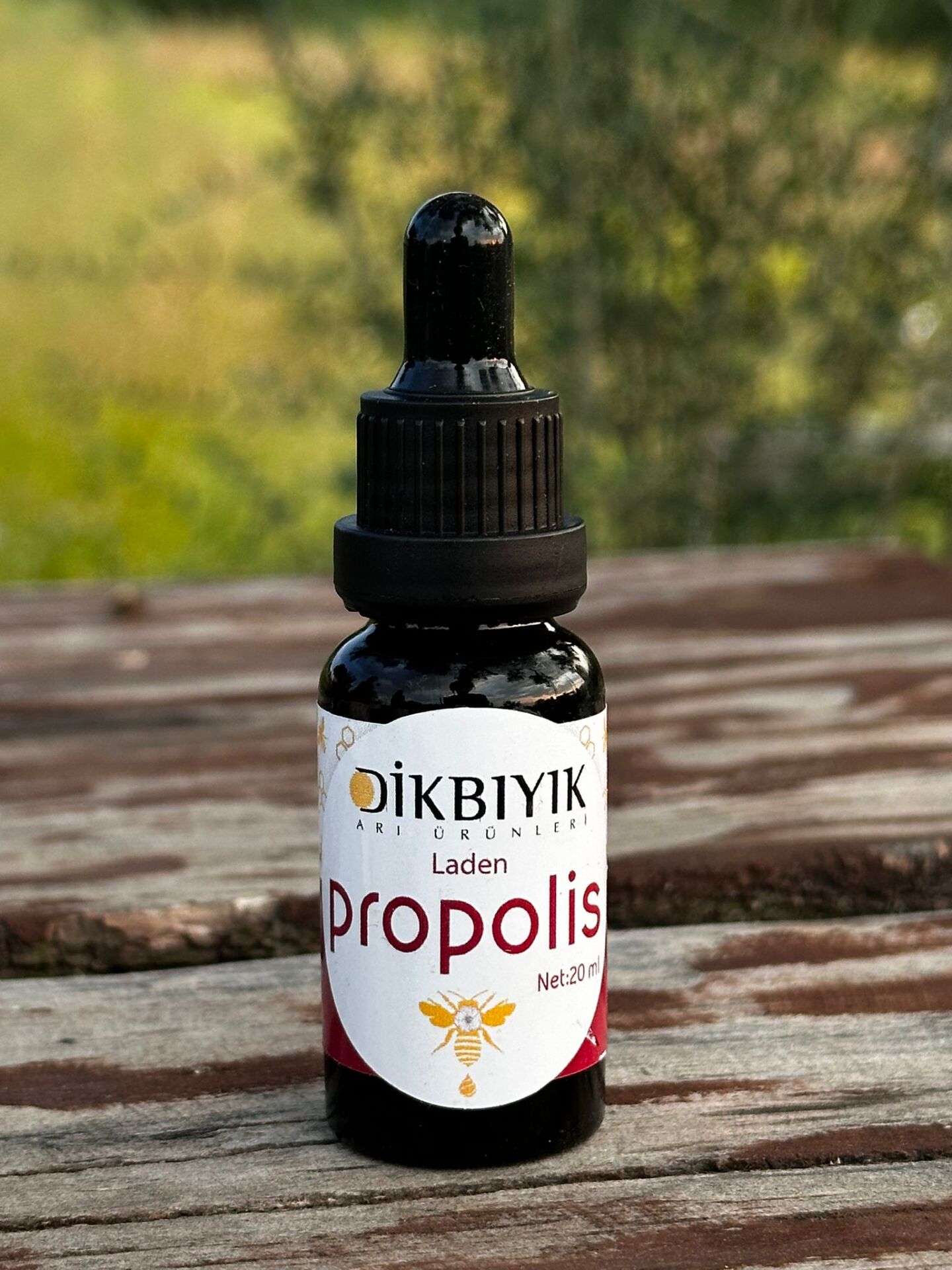 Dikbıyık Kırmızı Laden Propolis 20 Ml