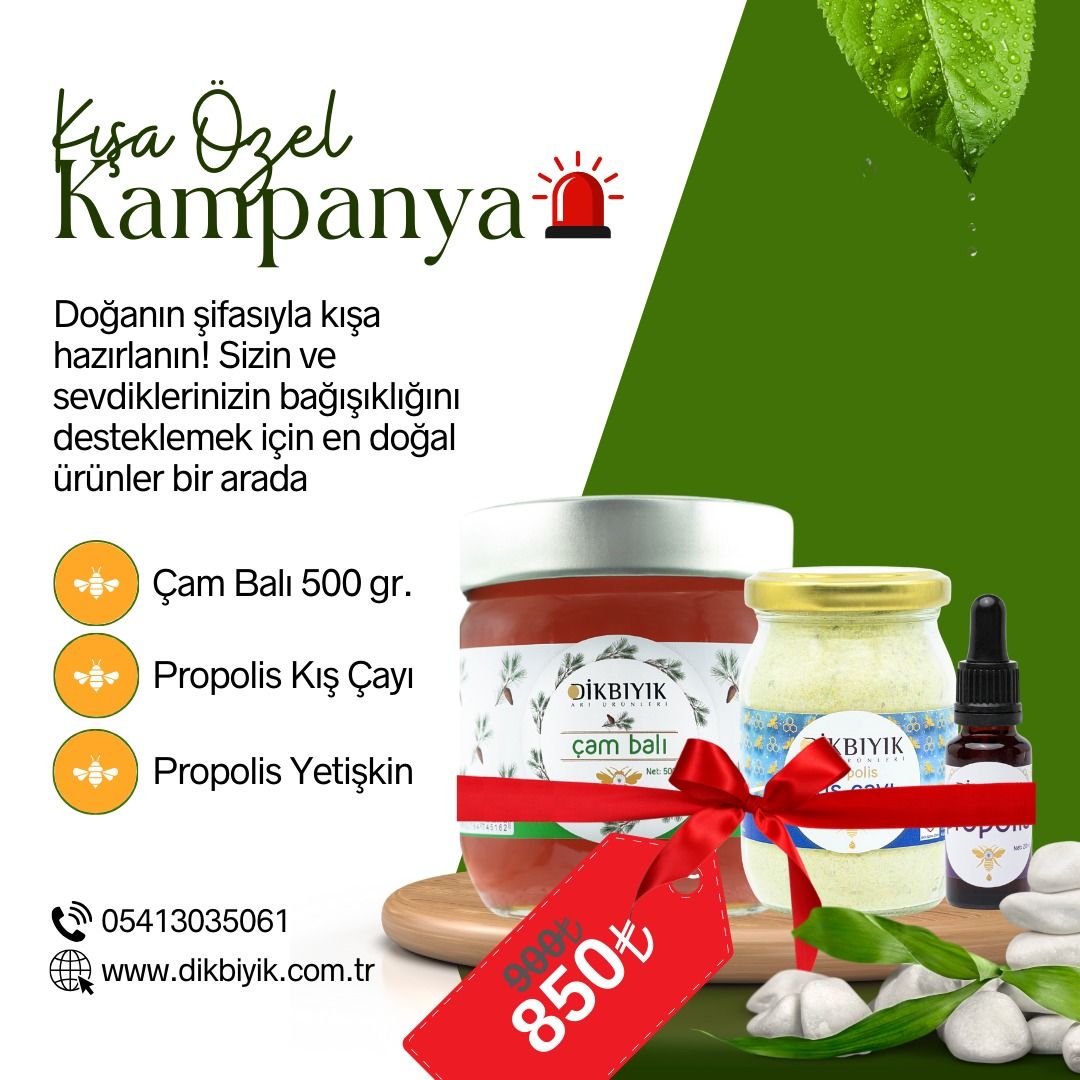 KIŞA ÖZEL KAMPANYA ! (ÇAM BALI,KIŞ ÇAYI VE YETİŞKİN PROPOLİS)