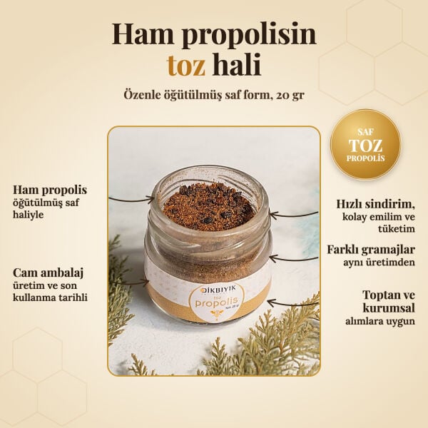 Dikbıyık Toz Propolis 20 gr